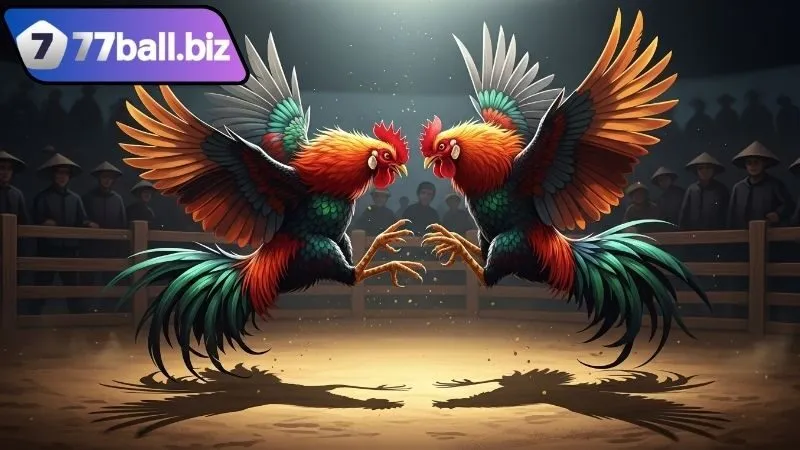 Coi trực tiếp đá gà Thomo hôm nay – Trải nghiệm kịch tính 3 Cách coi trực tiếp đá gà Thomo hôm nay